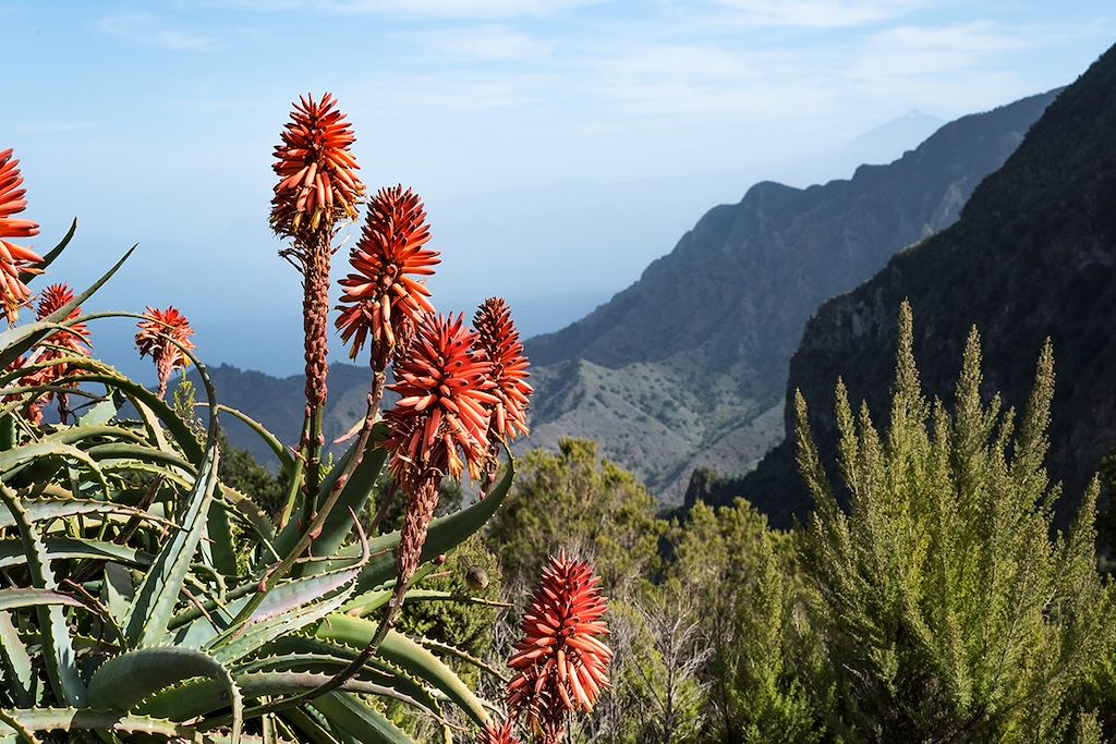 Image Randonnée La Gomera – Randonnée Canaries – Garajonay