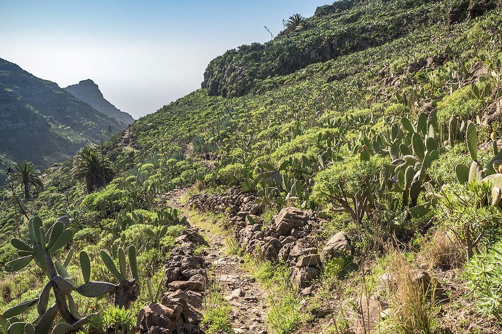 Image Randonnée La Gomera – Randonnée Canaries – Garajonay