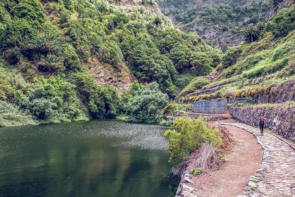 Image Randonnée La Gomera – Randonnée Canaries – Garajonay