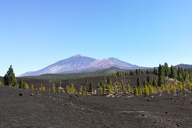 Voyage : Tenerife et Gomera: ascension, volcans, barrancos Voyage Tenerife et Gomera: ascension, volcans, barrancos