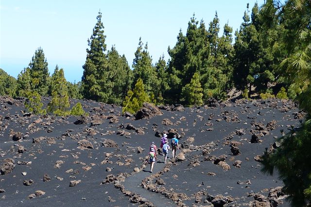 Voyage Tenerife, Gomera, La Palma, les îles fortunées