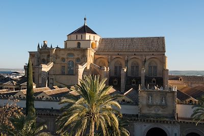 © Carlo Morucchio, robertharding / Alamy / Hemis - Mosquée cathédrale de Cordoue - Andalousie - Espagne Mosquée cathédrale de Cordoue - Andalousie - Espagne