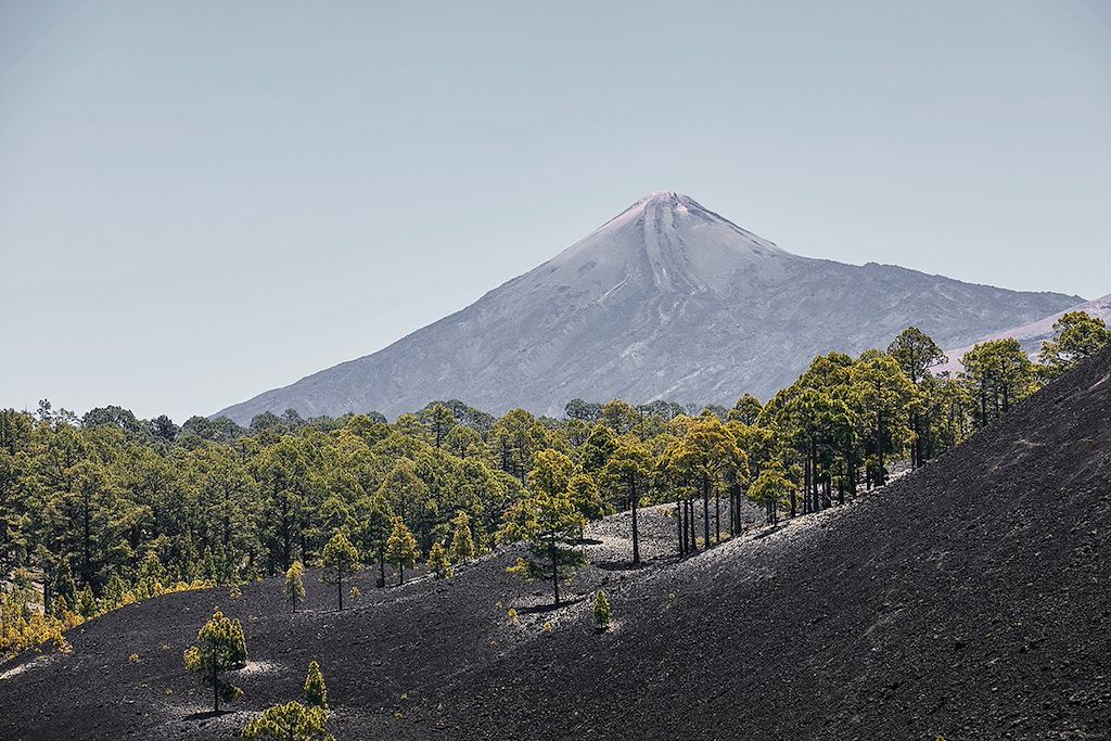 Image Séjour Tenerife - Randonnée Canaries - Randonnée Teide