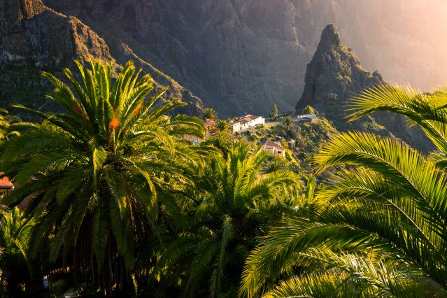 Image Tenerife et Gomera, randonnées enchantées