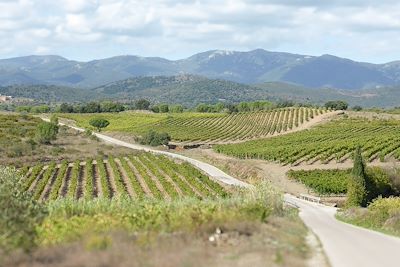 © Eduard Kirchner - Vignobles Alt Emporda - Espagne Vignobles Alt Emporda - Espagne