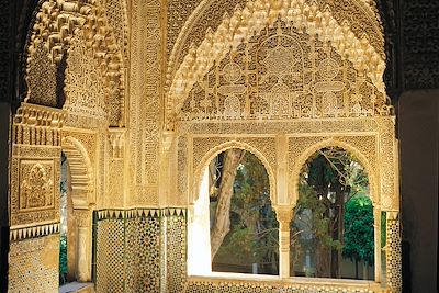 L'Alhambra - Grenade - Espagne