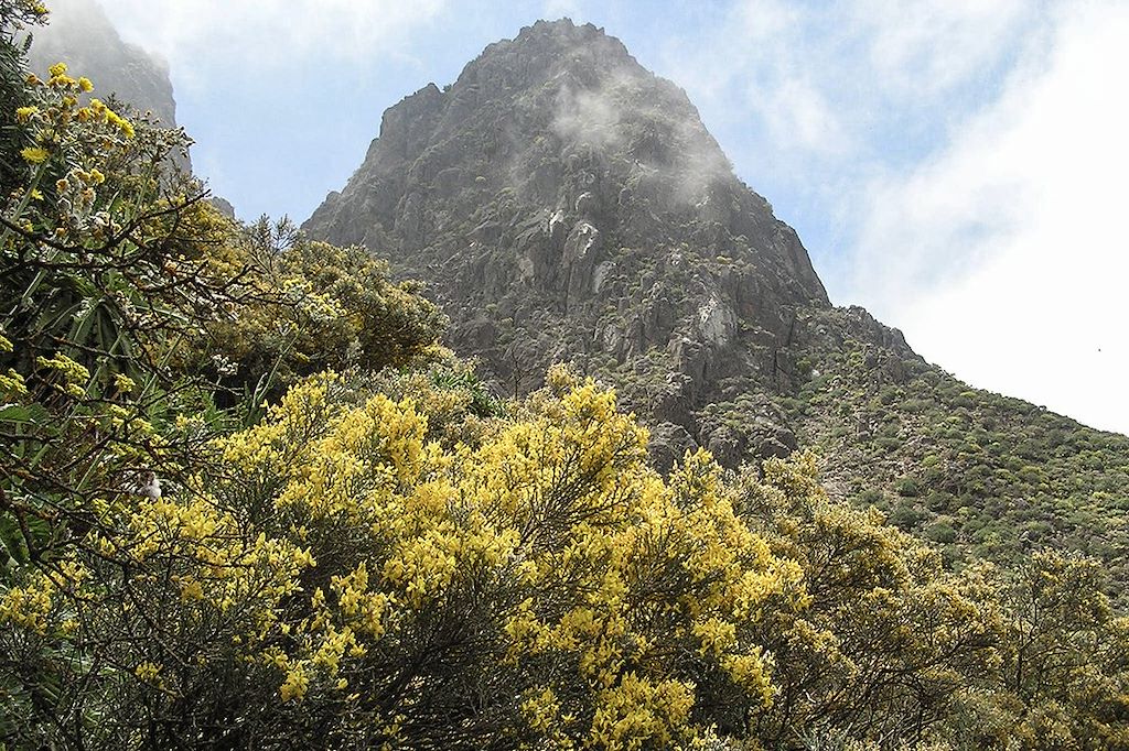 Image Randonnée Gran Canaria – Vacances Gran Canaria