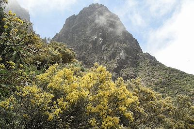 © Mis fotos de viajes / Getty Images - Caldera de los Marteles - Gran Canaria - Iles Canaries - Espagne Caldera de los Marteles - Gran Canaria - Iles Canaries - Espagne