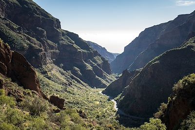 © Wirestock / Getty Images - Montagnes rocheuses verdoyantes - Gran Canaria - Iles Canaries - Espagne Montagnes rocheuses verdoyantes - Gran Canaria - Iles Canaries - Espagne