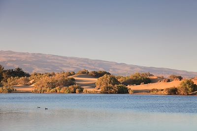 © Michele Falzone / Alamy / Hemis - Parc national des dunes de sable de Maspalomas - Gran Canaria - Iles Canaries - Espagne Parc national des dunes de sable de Maspalomas - Gran Canaria - Iles Canaries - Espagne