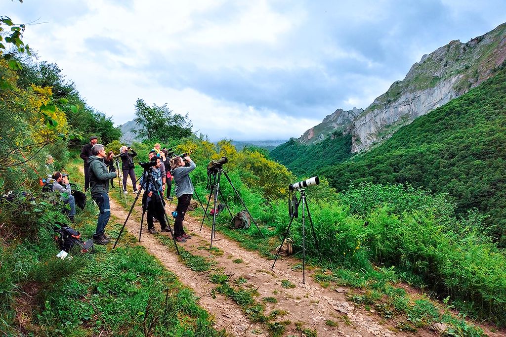 Image Observation ours brun - Randonnée Parc Naturel de Somiedo