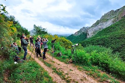 © Béatrice Mollaret - Observation des ours - Asturies - Espagne Observation des ours - Asturies - Espagne