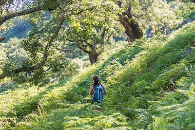 © Carlos / Adobe Stock - Randonnée - Sierra de Gredos - Espagne Randonnée - Sierra de Gredos - Espagne