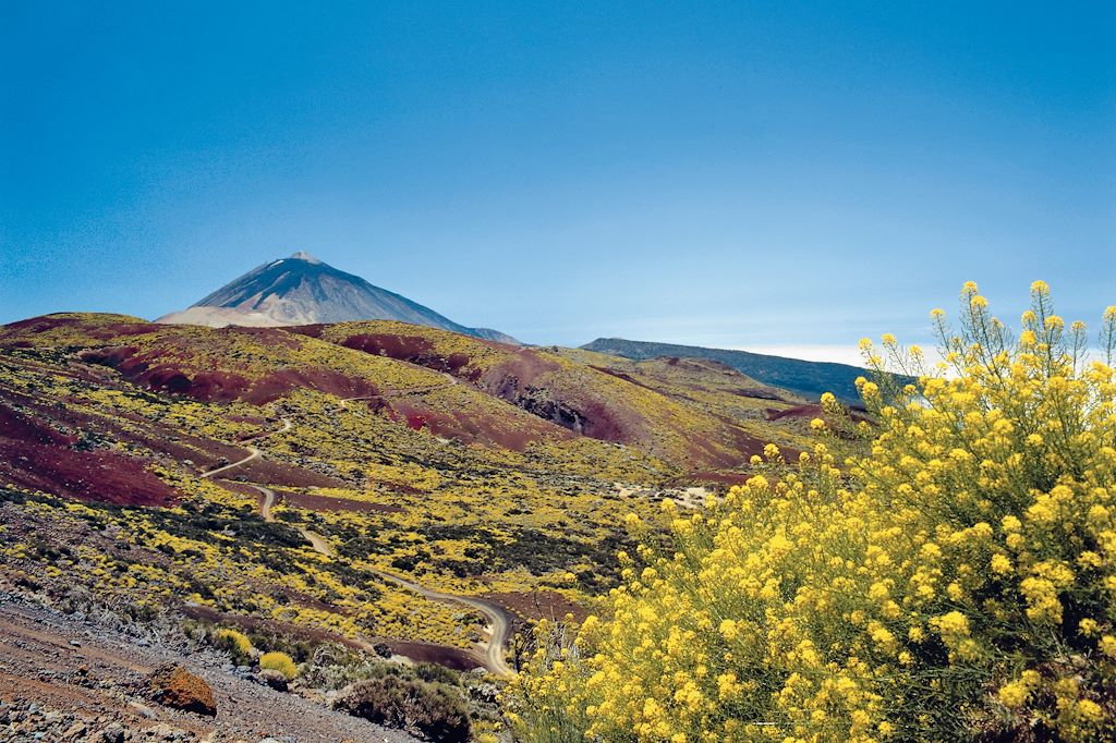 Image ascension Pico Viejo, trekking parc national du teide