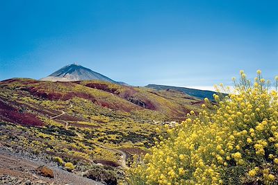 © Office de Tourisme de Tenerife - Tenerife - Canaries Tenerife - Canaries