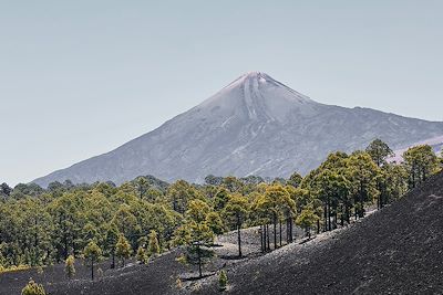 © Chalabala/stock.adobe.com - Volcan Teide - Tenerife - Îles Canaries - Espagne Volcan Teide - Tenerife - Îles Canaries - Espagne