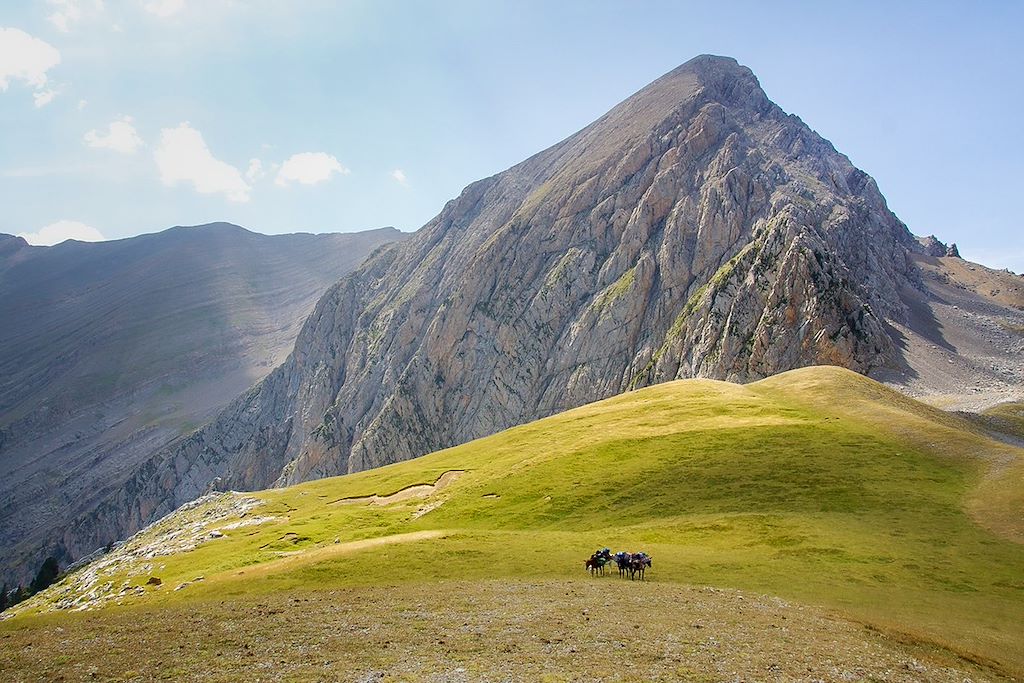 Image Bivouac en Aragon - Canyoning Barbaruens - Randonnée avec des ânes Pyrénées