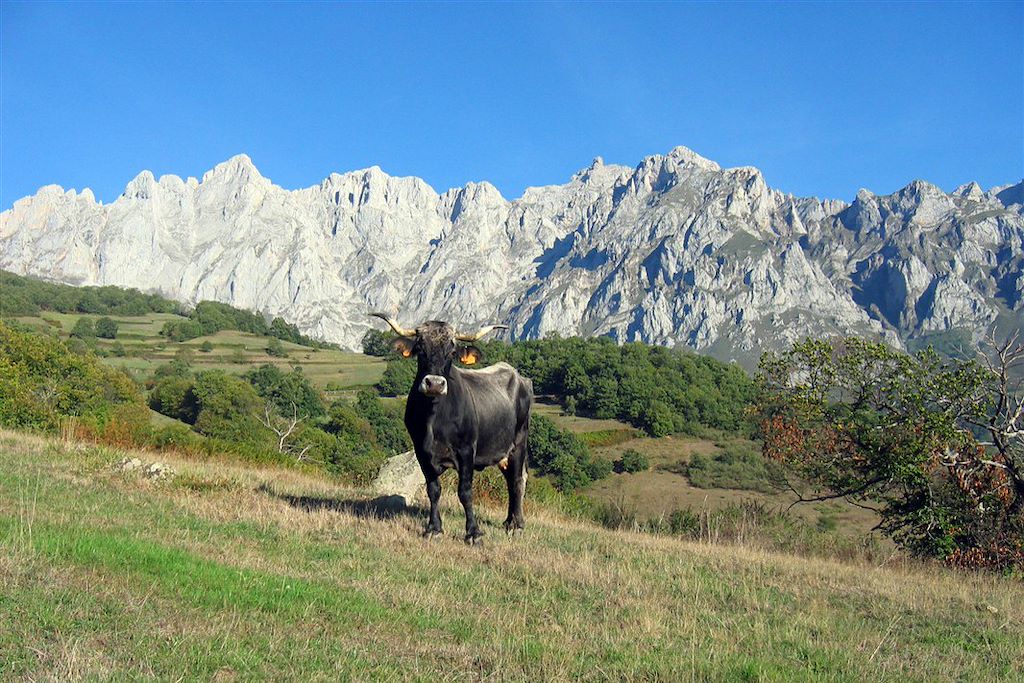 Image Randonnée Picos de Europa – Randonnée Asturies