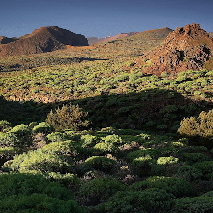 Randonnée Espagne Canaries
