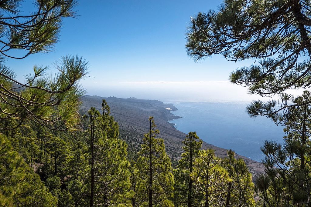 Image Randonnée Canaries - El Hierro - Tourisme écologique