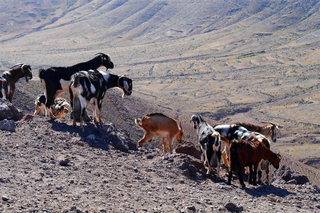 Image Lanzarote en famille – Séjour Lanzarote – Voyage en famille