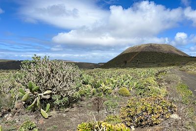 Monte Corona - Lanzarote - Canaries - Espagne
