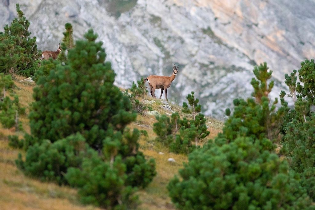 Image Randonnée Pyrénées - Pyrénées Catalane - Vallées de Ter et Núria