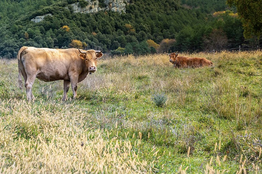 Image Randonnée Pyrénées - Pyrénées Catalane - Vallées de Ter et Núria