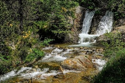 Rivière Ter dans les environs de Setcases - Pyrénées - Catalogne - Espagne