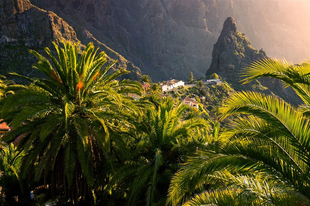 Image Séjour Tenerife - Séjour Gomera - Randonnée Canaries - Randonnée Teide