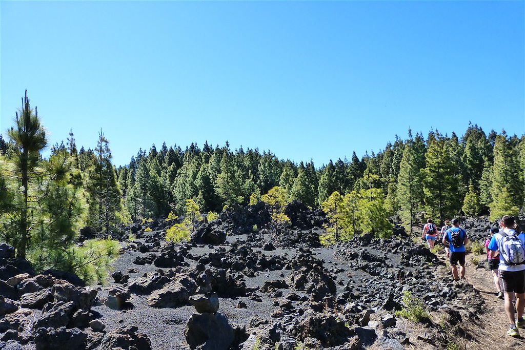 Image Séjour Tenerife - Séjour Gomera - Randonnée Canaries - Randonnée Teide