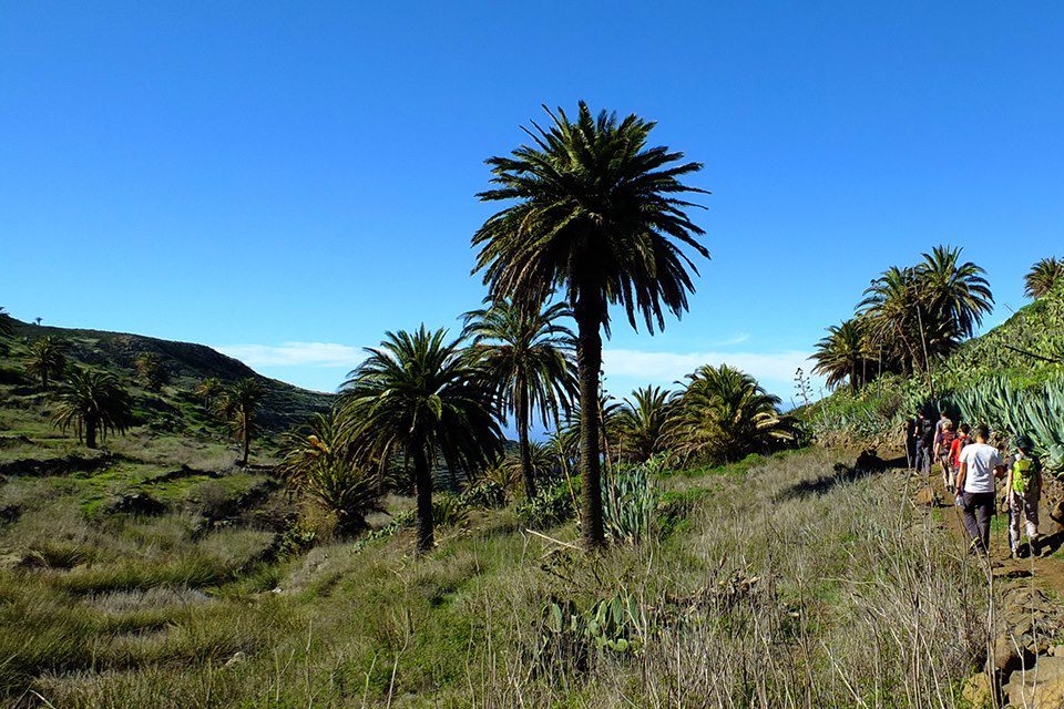Image Séjour Tenerife - Séjour Gomera - Randonnée Canaries - Randonnée Teide