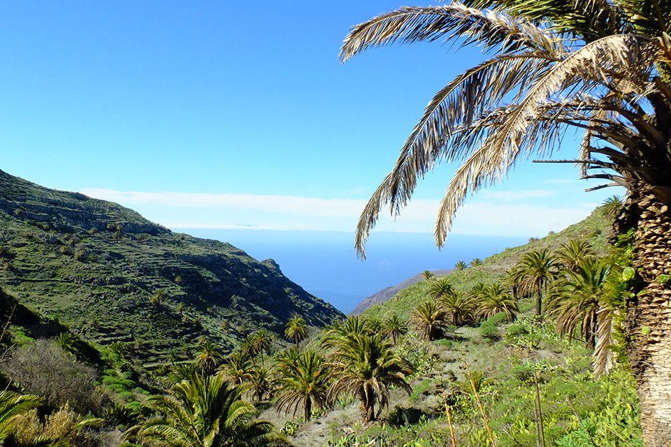 Image Séjour Tenerife - Séjour Gomera - Randonnée Canaries - Randonnée Teide