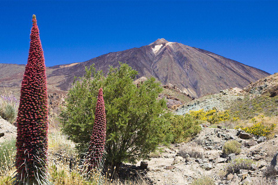 Image Voyage Canaries - Randonnée Tenerife - Randonnée la Gomera