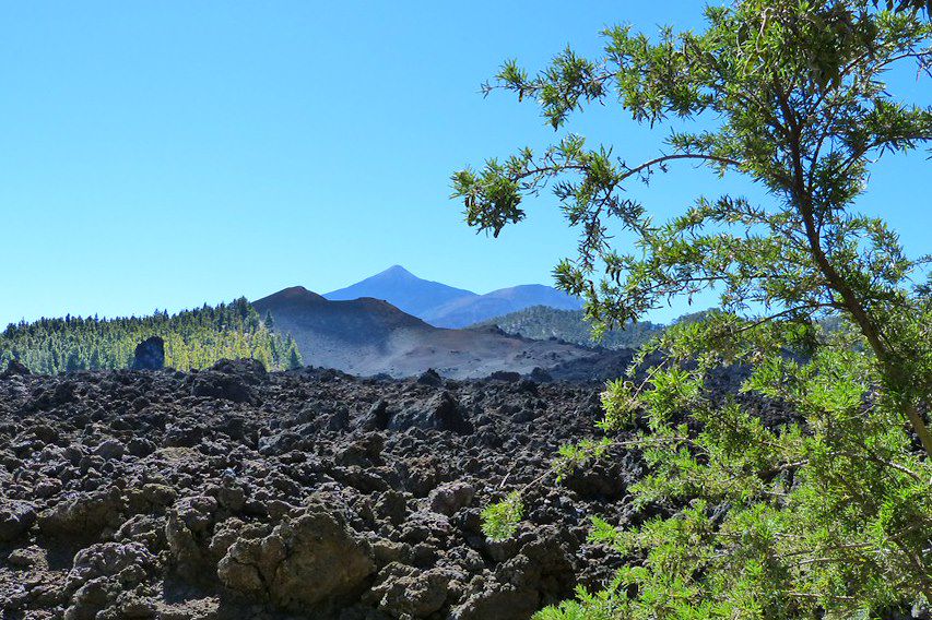 Image Voyage Canaries - Randonnée Tenerife - Randonnée la Gomera