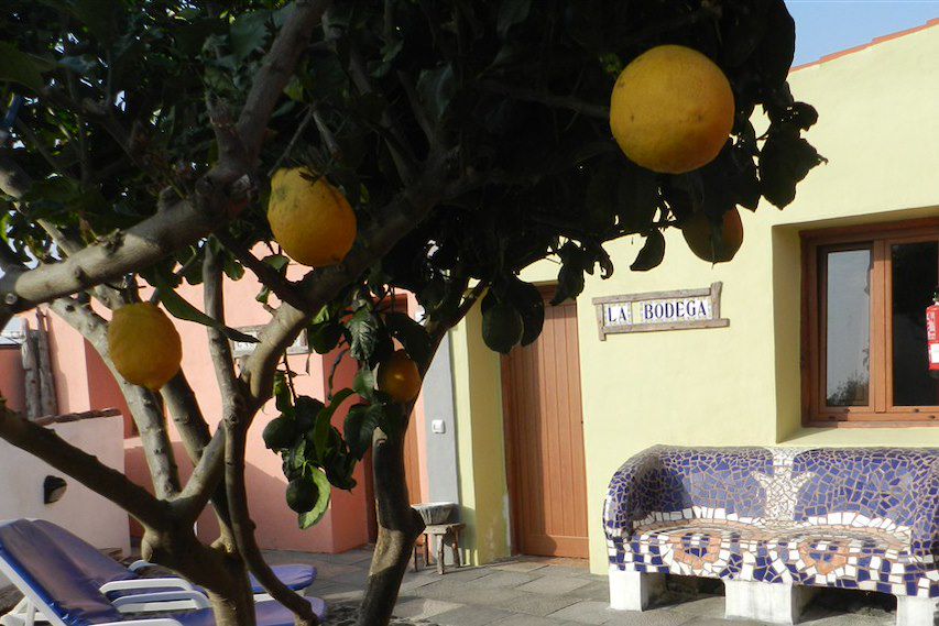 Image Voyage Canaries - Randonnée Tenerife - Randonnée la Gomera