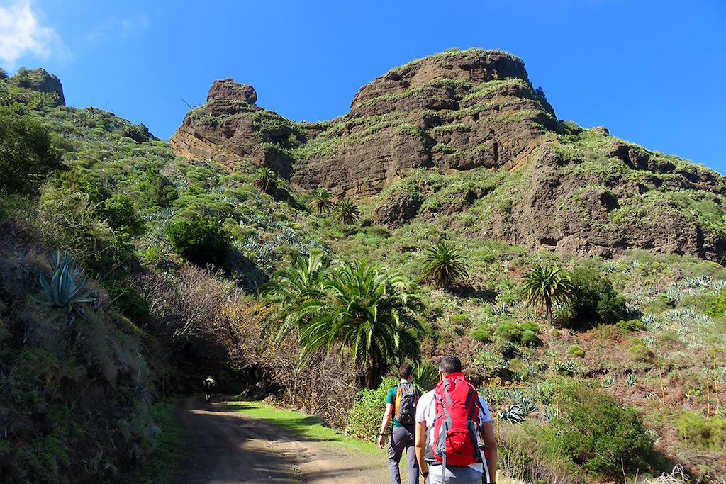 Image Voyage Canaries - Randonnée Tenerife - Randonnée la Gomera