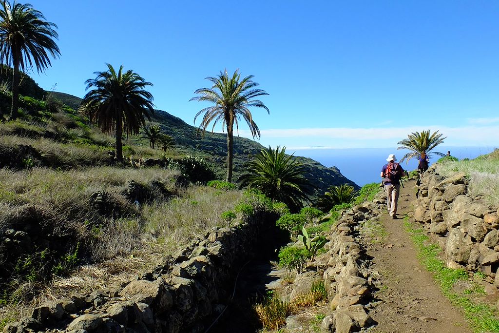 Image Voyage Canaries - Randonnée Tenerife - Randonnée la Gomera
