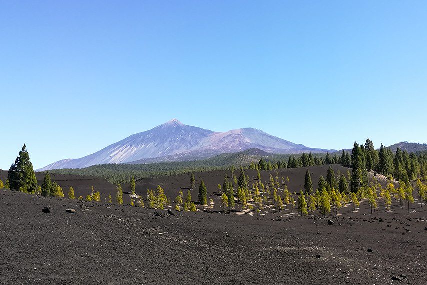 Image Voyage Canaries - Randonnée Tenerife - Randonnée la Gomera