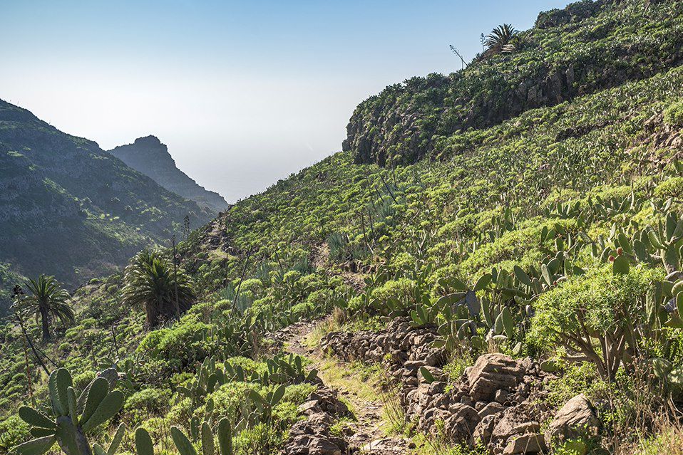 Image Voyage Canaries - Randonnée Tenerife - Randonnée la Gomera