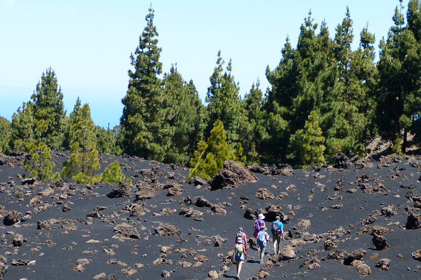 Image Autotour Canaries – Autotour Tenerife – Séjour Tenerife