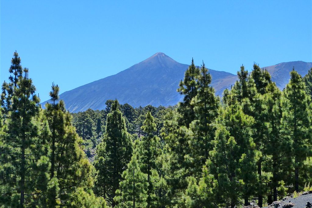 Image Autotour Canaries – Autotour Tenerife – Séjour Tenerife