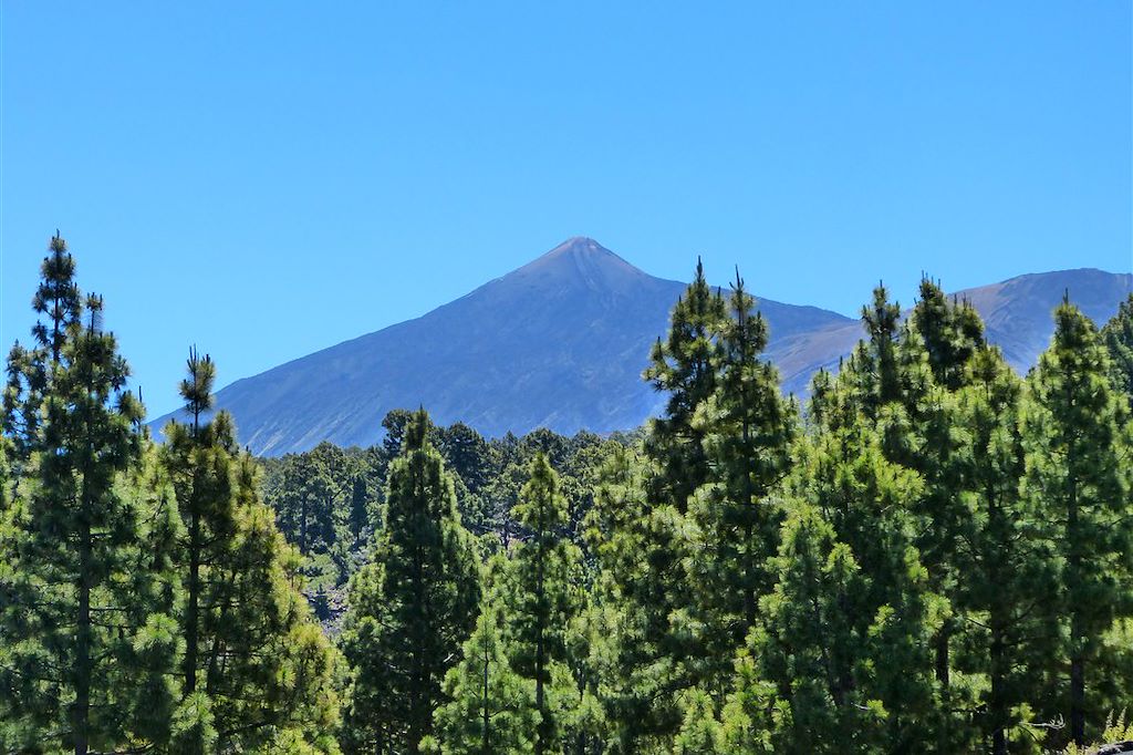 Image Autotour Canaries – Randonnées Tenerife Gomera