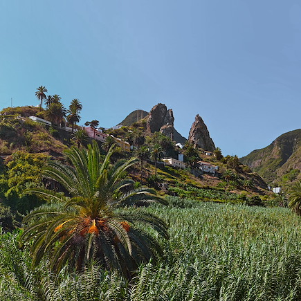 Tenerife et Gomera, randonnées enchantées
