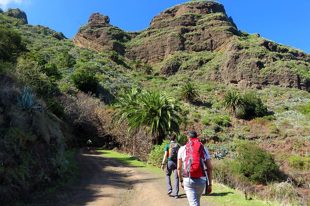 Image Randonnée La Gomera – Garajonay – Randonnée Canaries