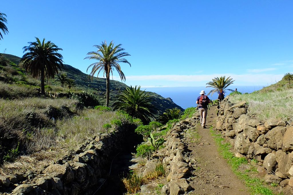 Image Randonnée La Gomera – Garajonay – Randonnée Canaries