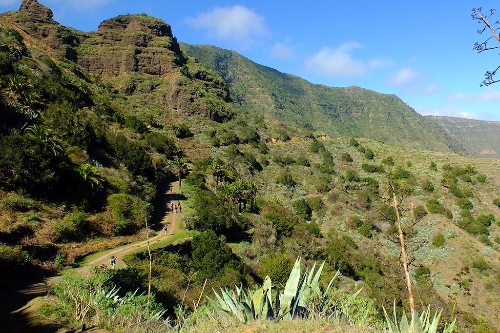 Image Randonnée La Gomera – Garajonay – Randonnée Canaries