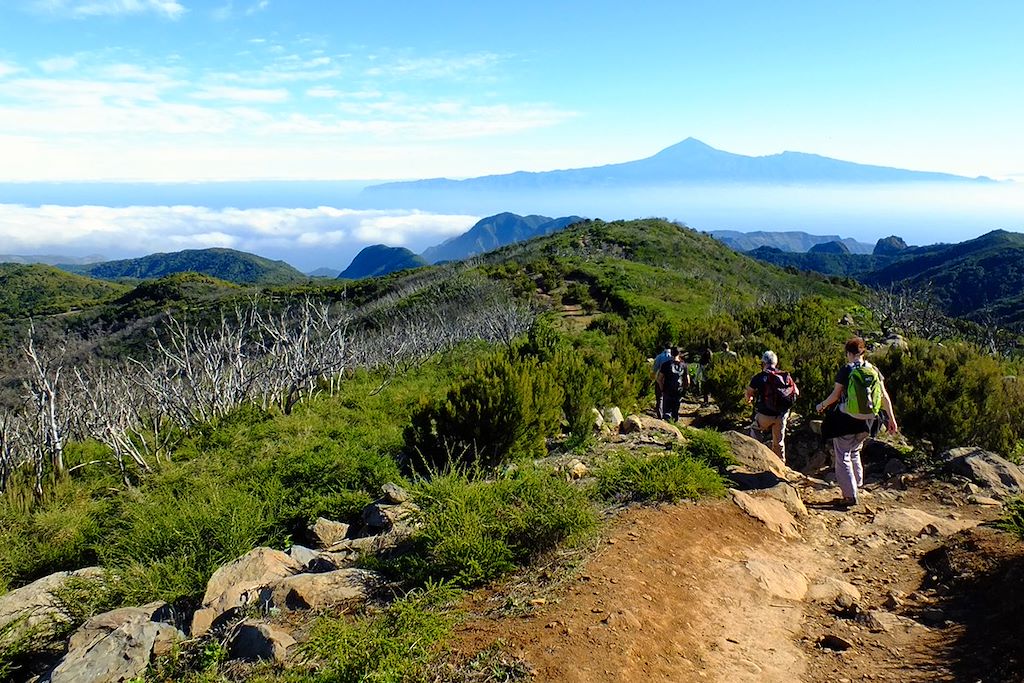 Image Randonnée La Gomera – Garajonay – Randonnée Canaries