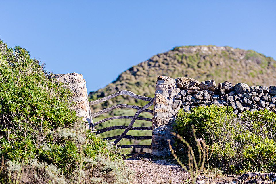 Image Randonnée Sierra De Tramuntana - Randonnée Au Puig Roig - Randonnée Baléares