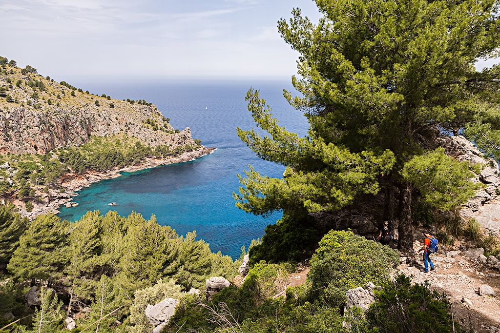 Image Randonnée Sierra De Tramuntana - Randonnée Au Puig Roig - Randonnée Baléares